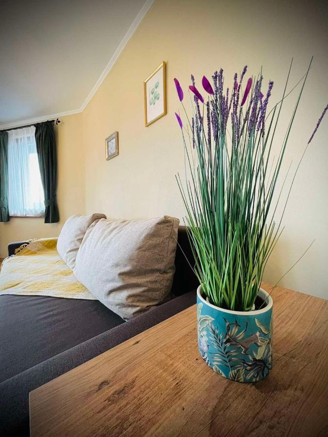 The Green Guest House Of Veliko Tarnovo-Amazing View, Top Location Екстер'єр фото